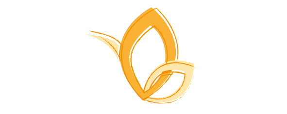 LebensSchmiede ICON