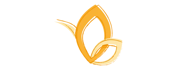 LebensSchmiede ICON